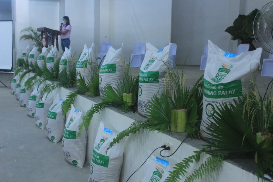 Pilar farmers receive Rice Seedlings from RCEF Seed Program