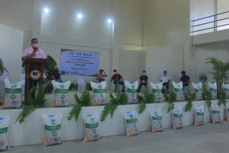 Pilar farmers receive Rice Seedlings from RCEF Seed Program