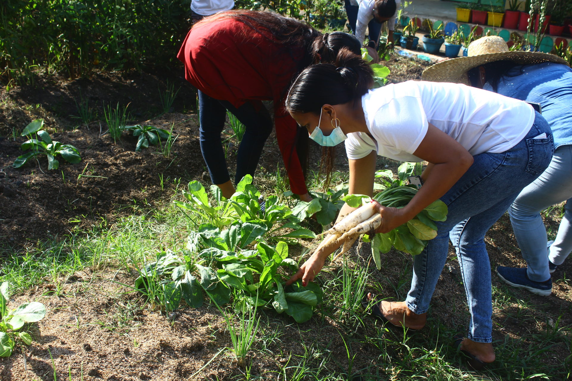 Collaboration Yields Bountiful Harvest