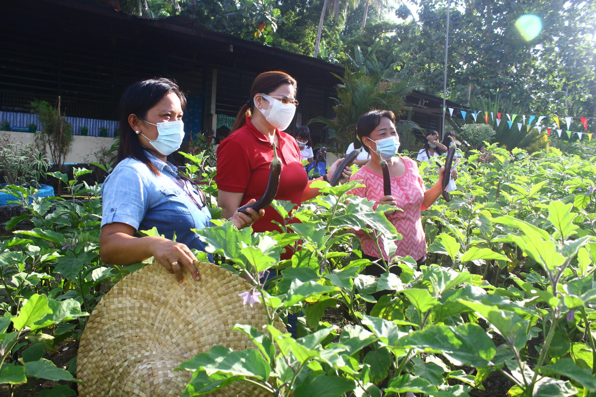 Collaboration Yields Bountiful Harvest