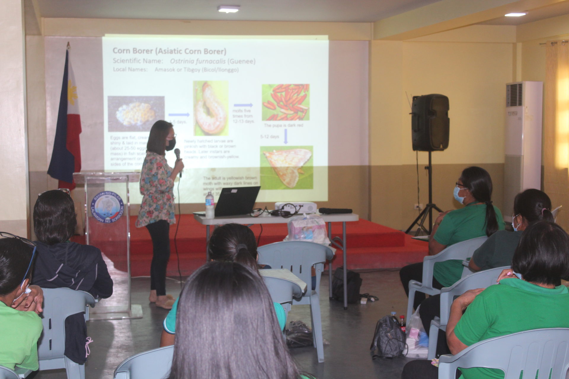 DA RFO 5 conducts Training on Corn Production to SAAD Beneficiaries of Pilar
